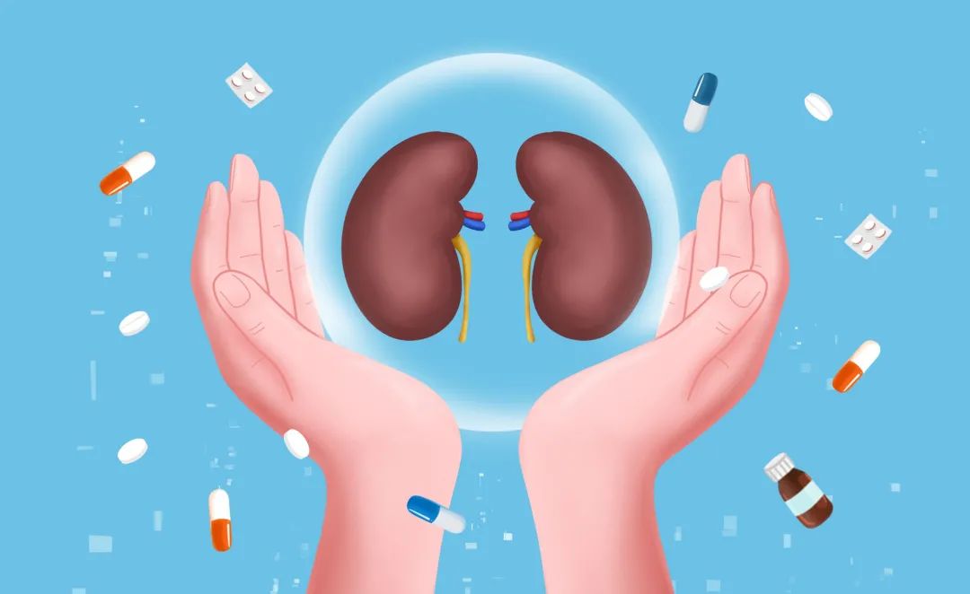  “人人关注肾健康，吾爱吾肾，知识强肾”——肿瘤医院门诊党支部组织开展世界肾脏病日主题党日义诊活动