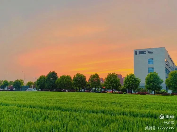 疫”往无前，是大疫也是大义——凤凰医院儿科抗疫纪实