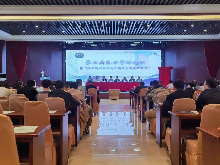 “镜”善“镜”美——淮南东方医院集团骨科医疗中心第二届高峰论坛顺利召开